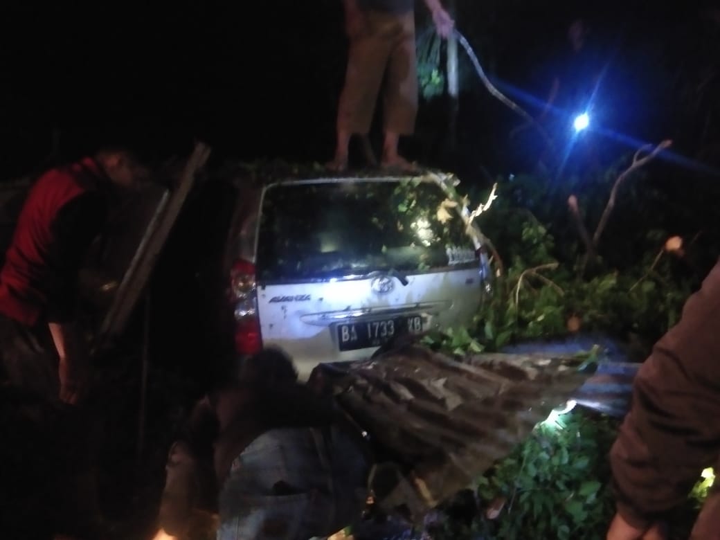 Pohon Tumbang Timpa Mobil dan Tutup Akses Jalan di Maninjau